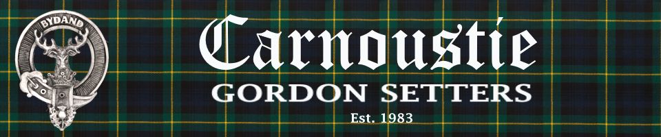 CARNOUSTIE Gordon Setters (Est. 1983)